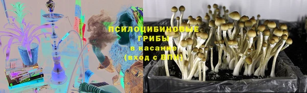 дмт Верея