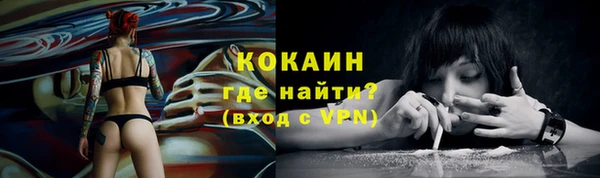 дмт Верея