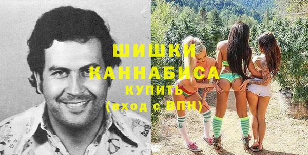 дмт Верея